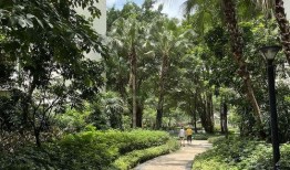 嘉禾望岗娱乐吃瓜地,揭秘网红聚集地的幕后故事