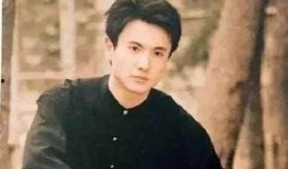 娱乐圈录音爆料杨洋视频,娱乐圈风波再起，真相究竟如何？