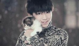 娱乐圈爆料王俊凯张子枫,娱乐圈爆料再掀热议