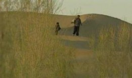 白宝山电视剧全集26集在线观看,26集剧情揭秘，在线观看全程回顾