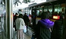 重庆公交车最新爆料,事故真相与背后故事揭晓